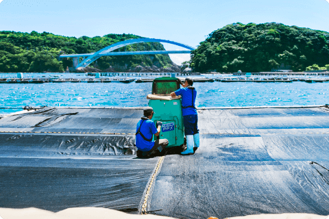 取り組み