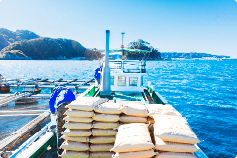 採用までの流れ