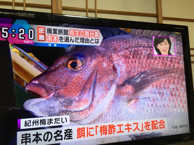 読売テレビ「ten」にて紀州梅まだいが紹介されました。